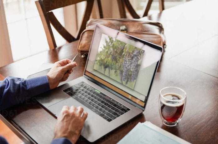 Innovación y vitivinicultura en un encuentro virtual