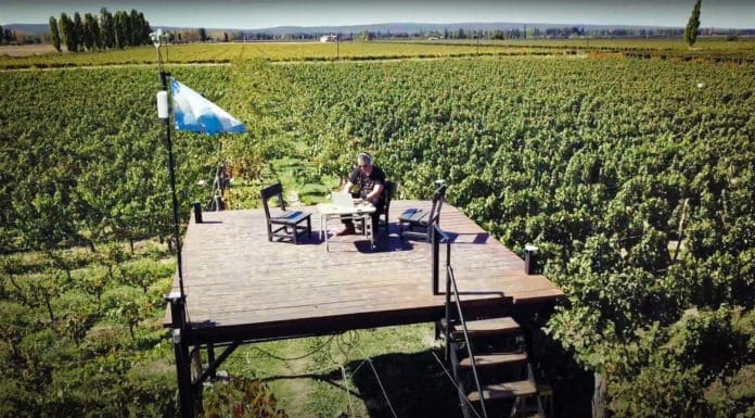 Nace la primera criptomoneda del mundo respaldada por vino