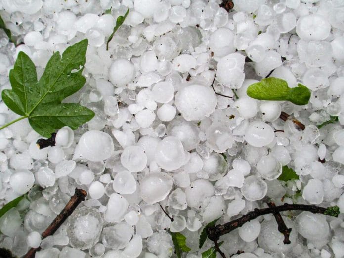 Daños por tormentas, se detallaron las herramientas para productores del Este de Mendoza