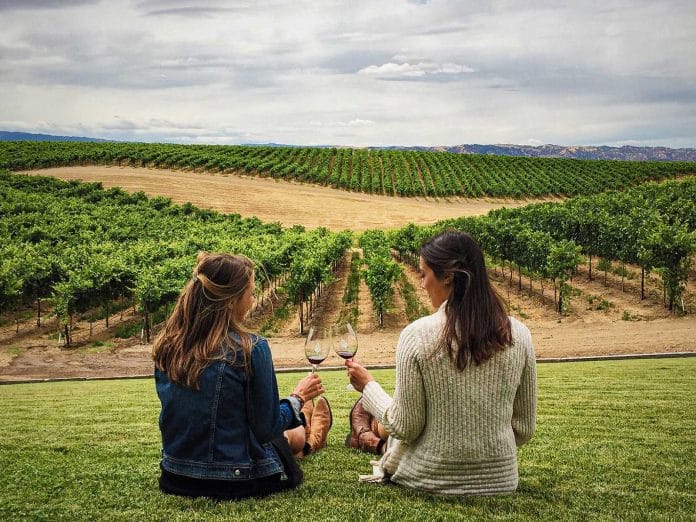 Como hacer elecciones sustentables al comprar vino