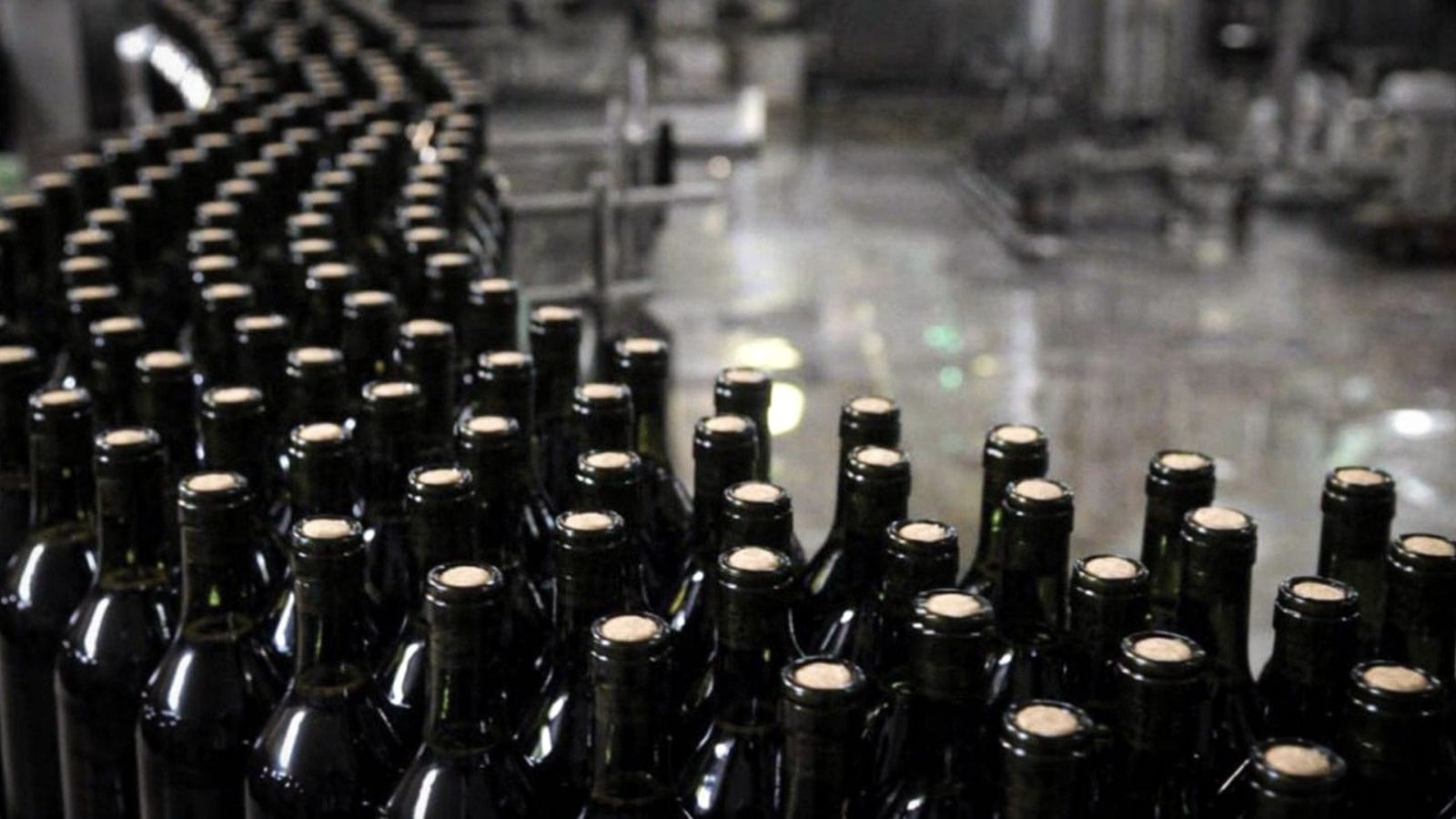 Malbec y Vinos Fraccionados, impulsan la exportación argentina