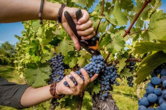 3er Encuentro de Vinos Sanjuaninos en la Ciudad de Buenos Aires