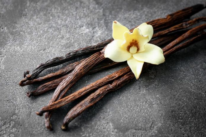 El olor a Vainilla es el más placentero en los vinos