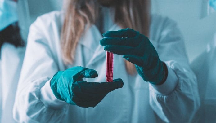 La ingeniería genética podría crear el vino perfecto