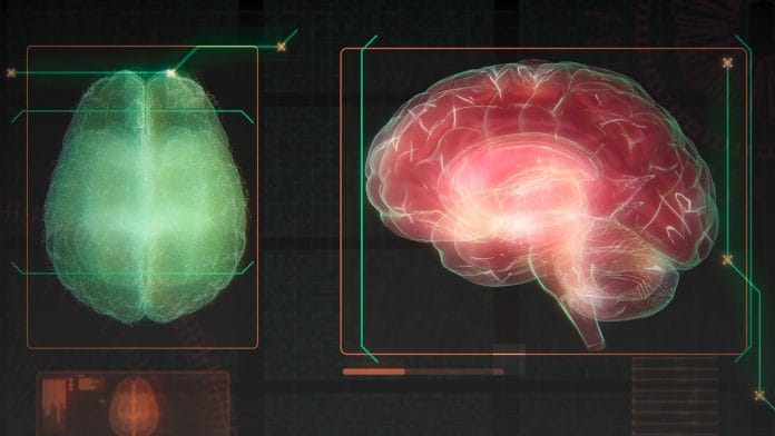 Descubre que son los flavonoles del vino, el té y las frutas que mejoran la salud cerebral