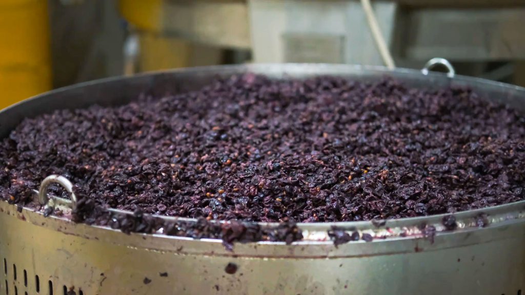 Pepitas de uva, y residuos de la elaboración del vino, utilizados para Vinoterapia