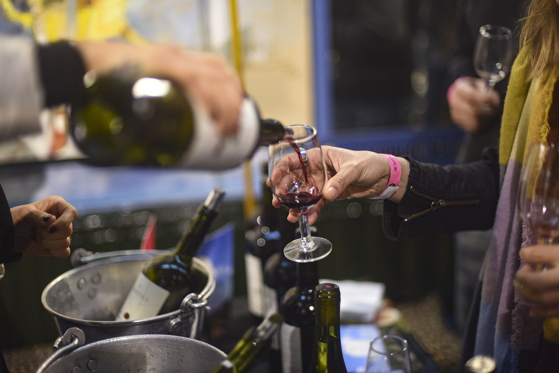 Feria de Vinos Orgánicos y Sustentables: la revolución de la ...