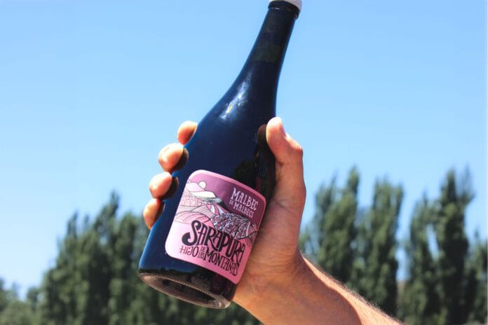 Sarapura, el proyecto de tres amigos e ingenieros agrónomos en busca de viñedos únicos