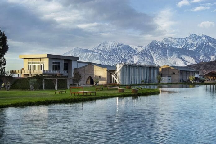 La mejor bodega de vinos tintos del mundo es Argentina según prestigioso certamen internacional