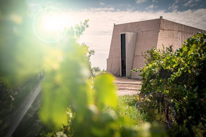 Sorprendente: Una bodega Argentina ganó el oro mundial en sustentabilidad