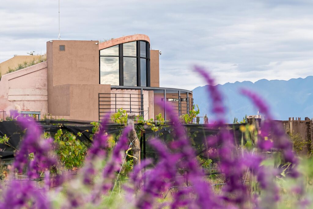Bodega Alpamanta, galardonada con el Best of Wine Tourism 2024 de Great Wine Capitals