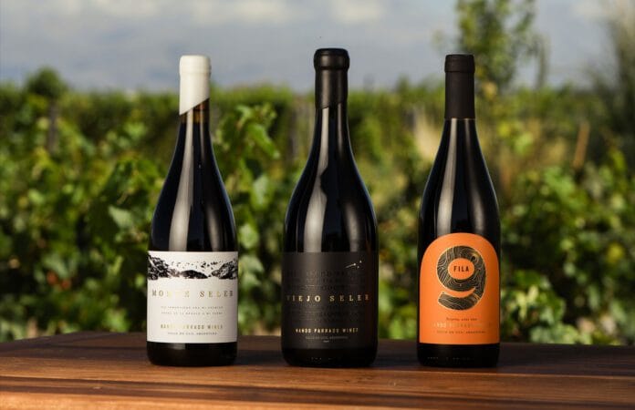 El sabor de la esperanza: Los vinos de un sobreviviente de “La Sociedad de la Nieve” de Netflix