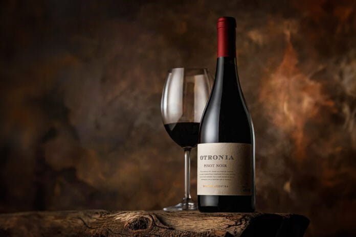 Un Pinot Noir de la Patagonia es el mejor de Argentina y América: Su precio revelado