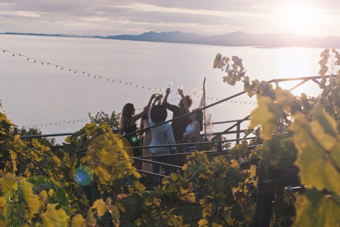 Enoturismo y el crecimiento sin límites en Argentina