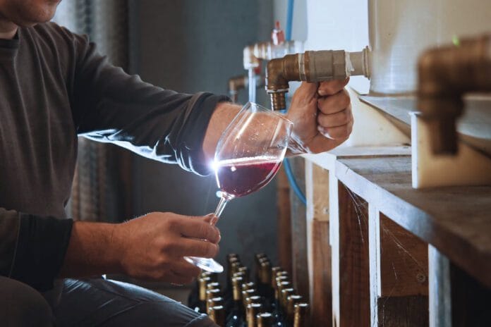 Crear tu propio blend y otras propuestas de enoturismo para estas vacaciones de invierno en Mendoza