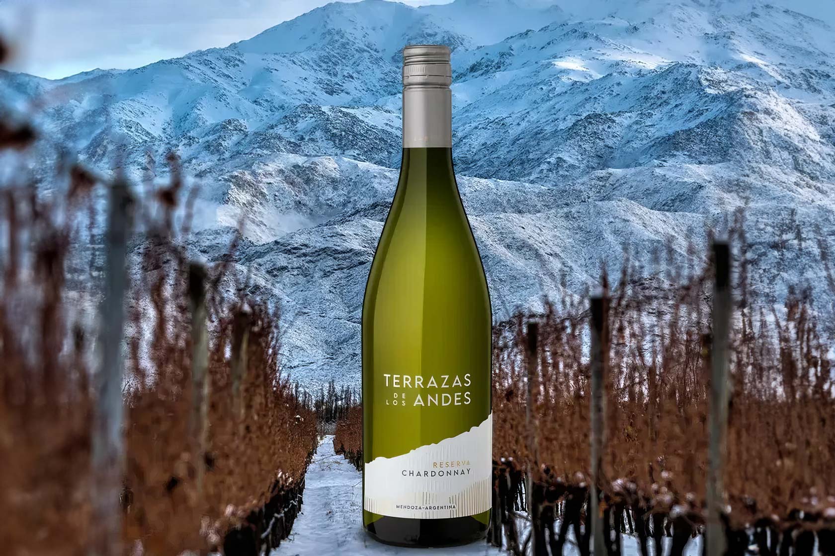 Terrazas de los Andes Reserva Chardonnay