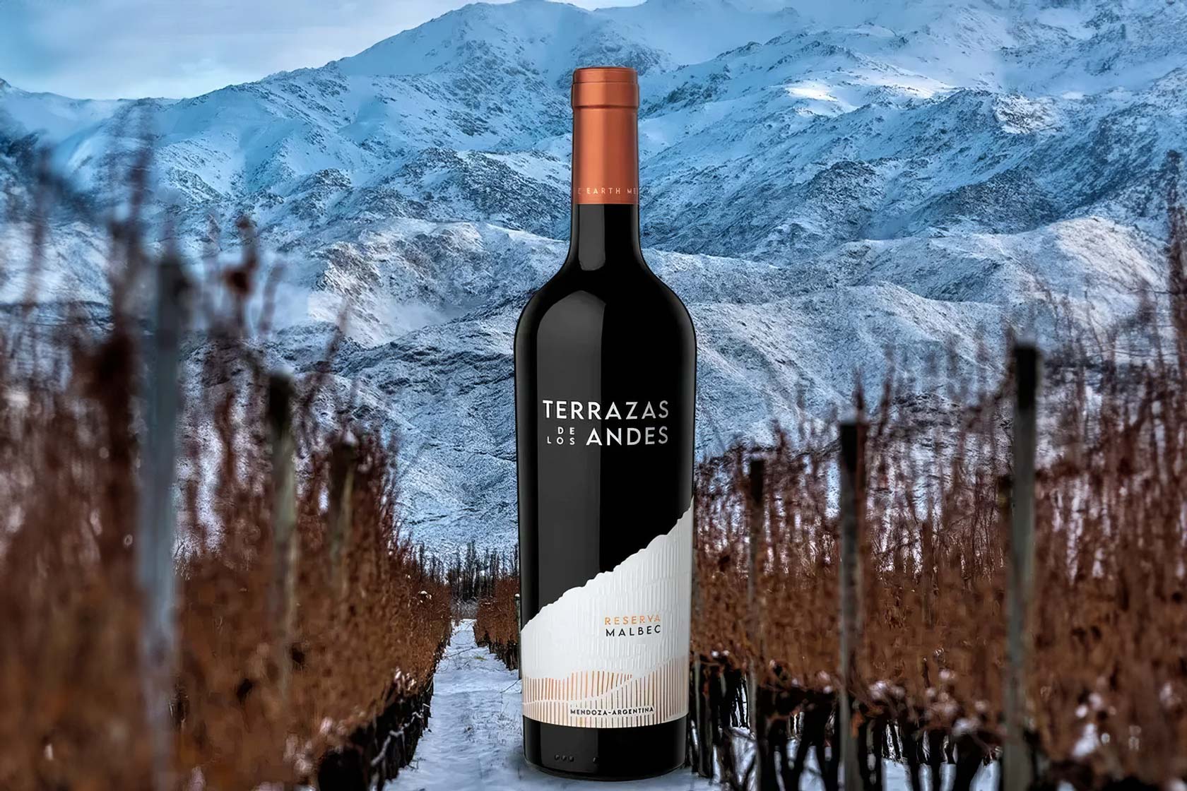 Terrazas de los Andes Reserva Malbec